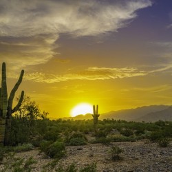 Sunset Over Verrado