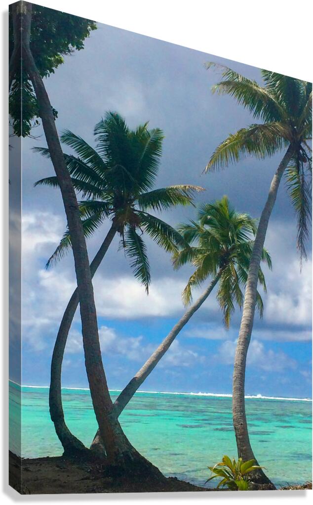 Motu Mahaea Palms Canvas Print