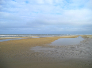 Just a Long Beach