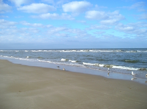 Just the Beach