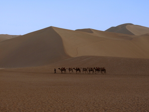 Silk Road
