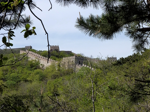 Great Wall – Green View