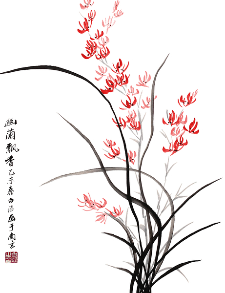 Traditional Chinese Iris - one by Birgit Moldenhauer