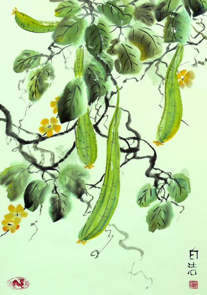 Chinese Cucumber by Birgit Moldenhauer