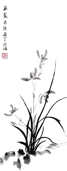 Chinese Iris - bw by Birgit Moldenhauer