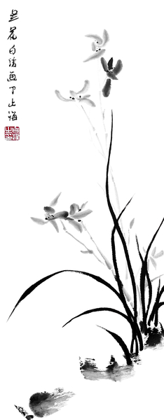 Chinese Orchid - bw by Birgit Moldenhauer