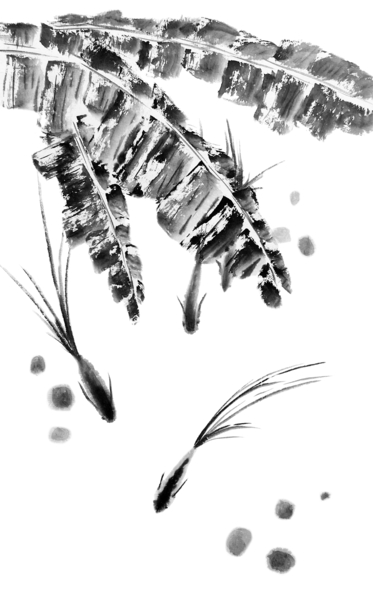 Three Little Fish - bw - no Cally by Birgit Moldenhauer