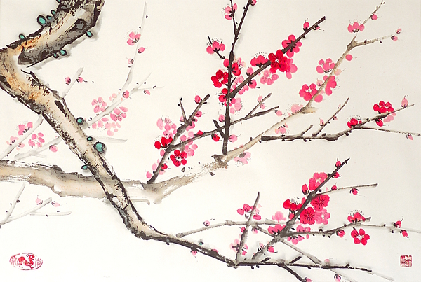 Plum Blossom by Birgit Moldenhauer
