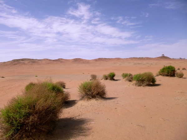 Gobi Desert View by Birgit Moldenhauer