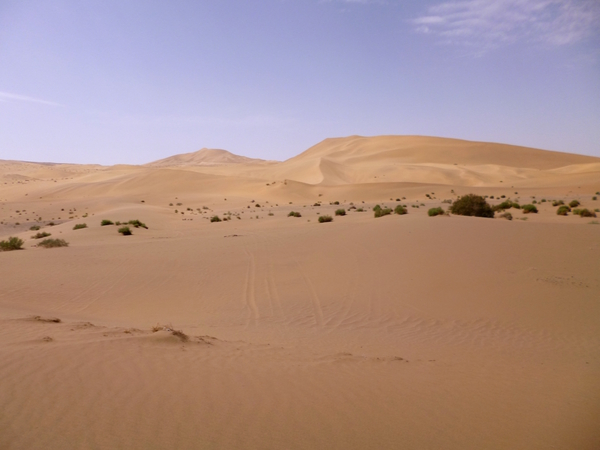 Gobi Sand Dune by Birgit Moldenhauer