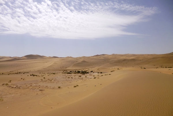 Sand Dune by Birgit Moldenhauer