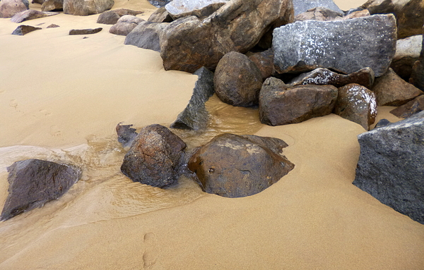 Sand and Stones by Birgit Moldenhauer