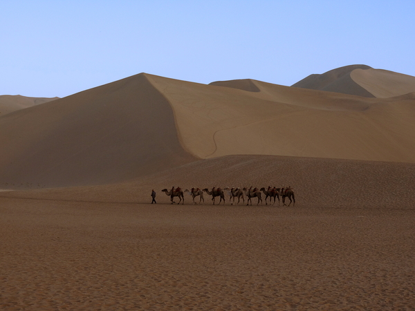 Silk Road by Birgit Moldenhauer