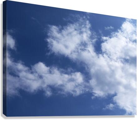 Sky Canvas Print