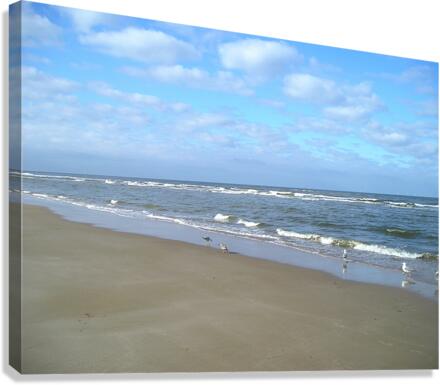 Just the Beach Canvas Print