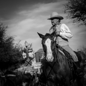 a fort worth tx cowboy  square 805 Flank 13k