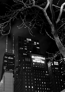 allerton hotel michican ave downtown chicago  ver