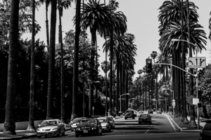 beverly drive at sunset blvd crescent  horizontal