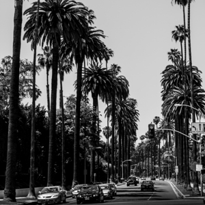 beverly drive at sunset blvd crescent  square 275