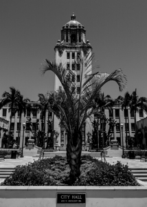 beverly hills city hall  vertical 2151 Crecent 13