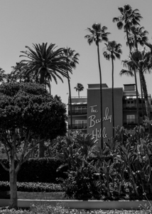 beverly hills hotel  vertical 2138 Beverly 13k.jp