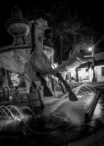 bob parks horse fountain scottsdale  vertical 240