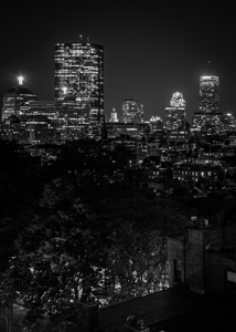 boston back bay skyline beacon hill  vertical 138