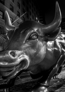 bowling green wall street bull  vertical 1452 Gre