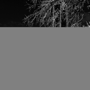 bronze cattle drive  square 2118 Drive 13k