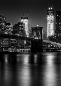 brooklyn bridge freedom tower night  vertical 139