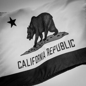 california repulic flag  square 2854 Soviet 13k.j