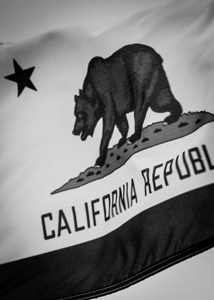 california repulic flag  vertical 2854 Soviet 13k