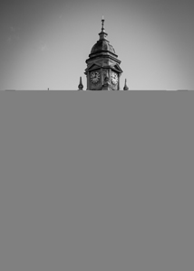 cape town city hall building  vertical 2987 Mande