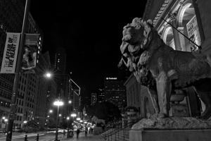 chicago art institue lion  horizontal 1195 Instit