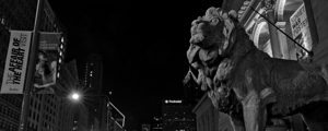 chicago art institue lion  panoramic 1195 Institu