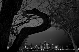 chicago skyline from shedd aquarium  horizontal 1