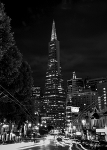 columbus drive night transamerica tower  vertical