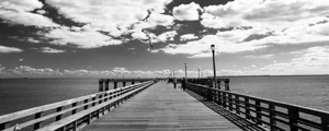 coney island pier  panoramic 362 Gull 13k