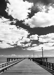 coney island pier  vertical 362 Gull 13k