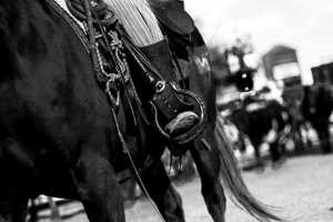 cowboy horse tackle  horizontal 821 Tack 13k
