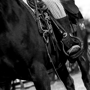 cowboy horse tackle  square 821 Tack 13k