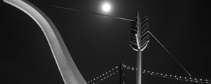 cupids arrow bay bridge night  panoramic 2819 Cup