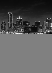 dallas tx skyline trinity river floodplain  verti