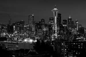 downtown seattle skyline at night  horizontal 269