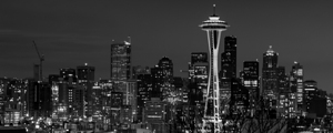 downtown seattle skyline at night  panoramic 2691