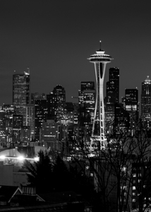 downtown seattle skyline at night  vertical 2691