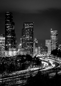 downtown seattle skyline rizal park  vertical 306