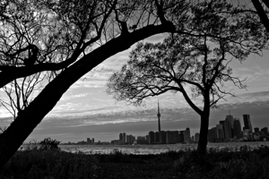 downtown toronto skyline from wards island  horiz