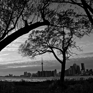 downtown toronto skyline from wards island  squar