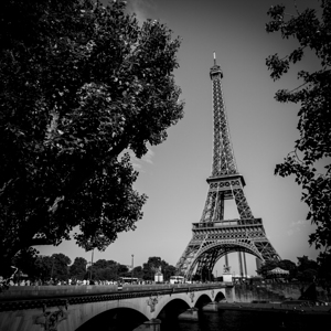 eiffel tower from rive droite  square 2441 Droite